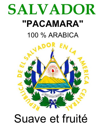 Caf� vert : Salvador "PACAMARA" (non torr�fi�)
